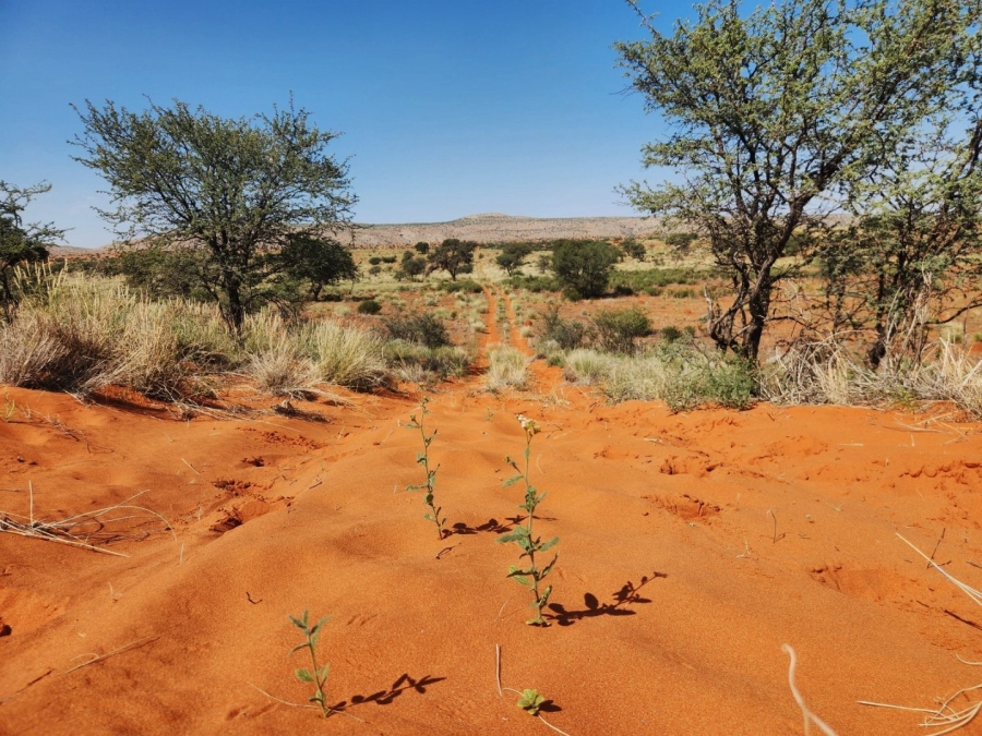 Commercial Property for Sale in Prieska Rural Northern Cape